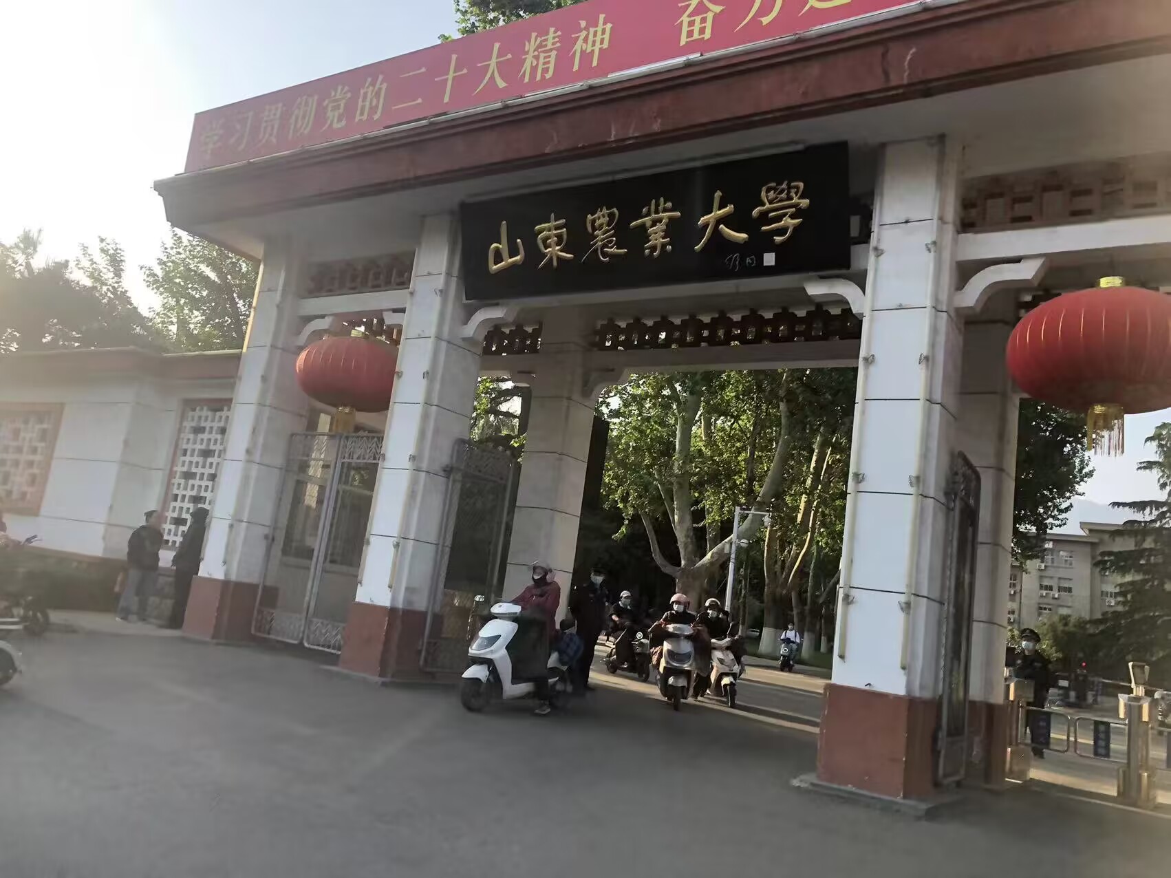 山東農業大學食品科學與工程學院2